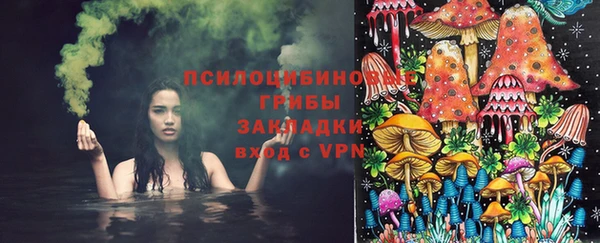 ешки Ладушкин
