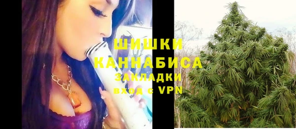 ешки Ладушкин